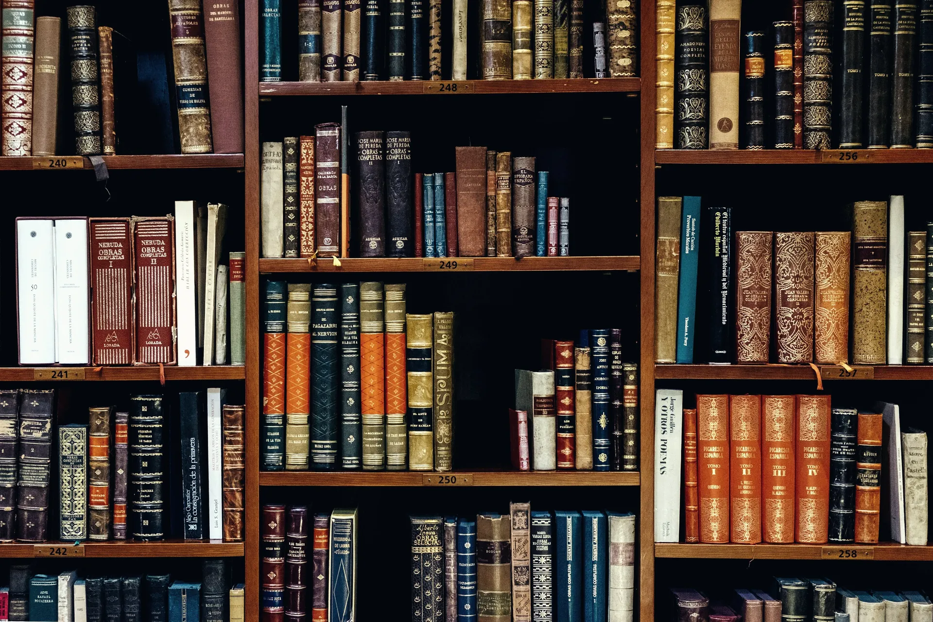 Leather-bound volumes on library shelves